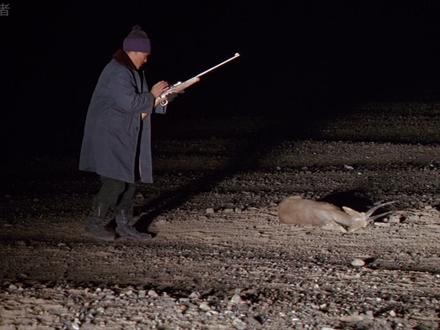 雪域生灵的独白:在贪婪与守护之间重生 #藏羚羊 #生命树 #保护野生动物 #可可西里 #动物科普