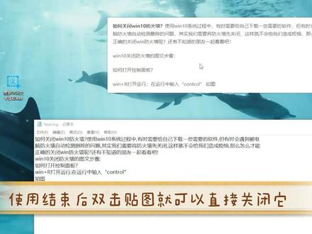 好用的贴图功能#电脑技巧 #实用小技巧 #论文 #图片文字