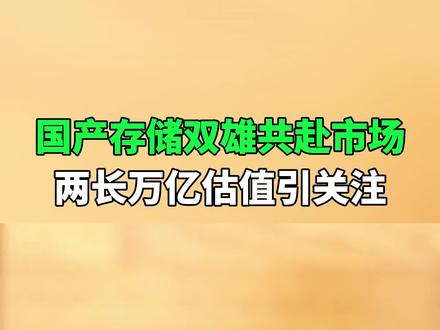 两长存储龙头携手上市:万亿估值是黄金还是陷阱? #长鑫存储 #长江存储 #存储芯片 #国产芯片 #涨知识