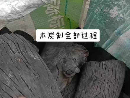 无烟无异味,无烟耐烧,坏保健康,保证安全#木炭刮作小秒昭#烧烤炭 #无烟烧烤 #果木炭