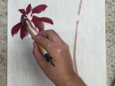 雁来红写意画法示范
#国画初级教学 #跟我一起学画画 #绘画过程分享 #花鸟画