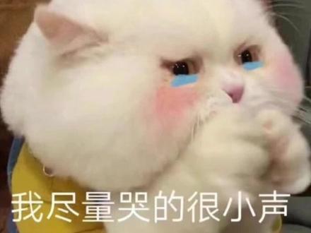 #画画接龙 #你画我猜 开始出应用题了感觉