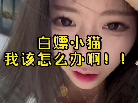 怎么会有这样的人呀#猫咪 #猫猫 #遇见你的喵