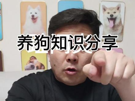 养狗知识分享#养狗知识分享
