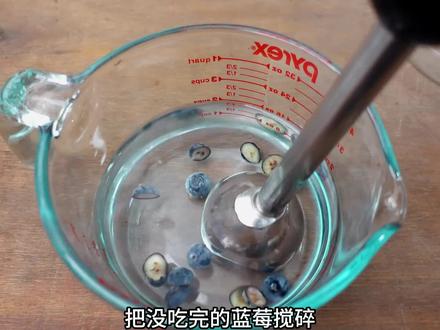 超市买的蓝莓,取出里面种子可以种出蓝莓吗?#种植 #蓝莓种植 #种植小技巧