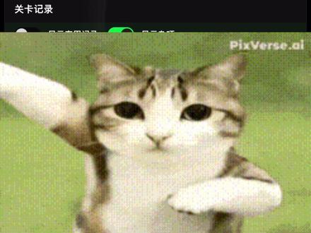 是否我该怎样在速通官网上传记录?#speedrun #速通记录