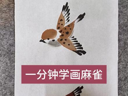 一分钟学画麻雀#国画麻雀#国画教程#麻雀的画法