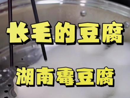 长毛的豆腐,湖南霉豆腐,自制腐乳。#豆腐乳 #妈呀太香了 #霉豆腐 #霉豆腐制作