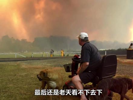 山火燃烧近六个月,三十亿动物葬身火海,损失惨重考拉几乎灭绝 #纪录片