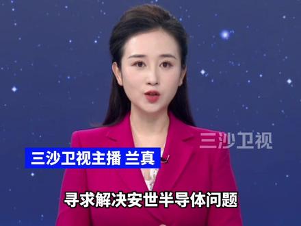 荷兰官宣高级代表团将于“下周初”赴华,寻求解决安世半导体问题(环球网)