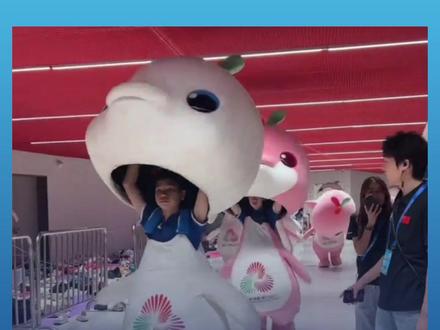 #可爱“大湾鸡”背后的辛苦汗水 导演:小朋友们从未喊累 #大湾鸡 #全运会