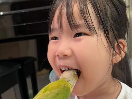 网上说的不是真的,别试了 #鹦鹉拔牙