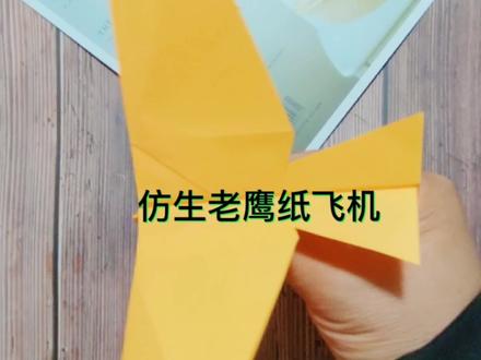 仿生老鹰纸飞机,你学废了吗?#折纸 #纸飞机 #手工