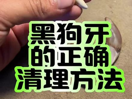 黑狗牙的正确清理方法