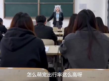 #AI教室萌宠应答记 #随变ai随便玩