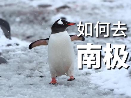 教你如何去南极? #南极 #户外徒步 #户外装备 #户外知识