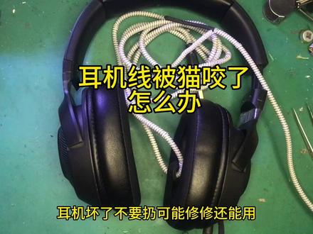 耳机线被宠物咬断了怎么办 #耳机线被宠物咬断