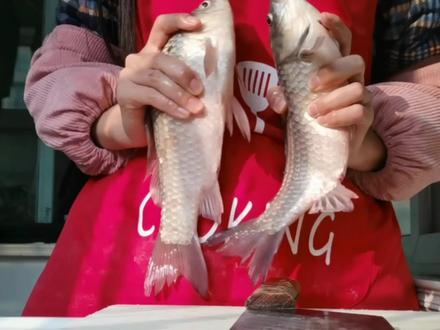 鱼姐限时回归 看到最后 有惊喜哦
#大学生在家备年货#全国大学生对厨房下手了 #大学生放假后的现状 #大学生在家备年货