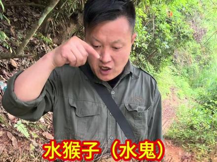都是迷信,根本没有水猴子也没有水鬼,只是老一辈的人用来吓唬小孩子' 为了不让小孩子去河边玩水#真实户外 #户外抓鱼 #水鬼 #水猴子 #野外生存