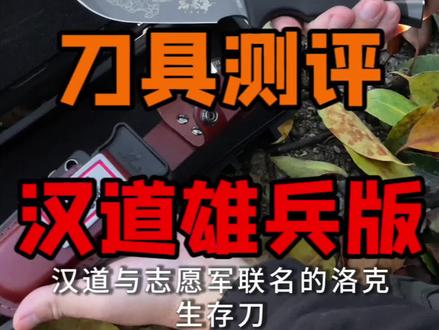 BC露营|一把优劣势都很明显的战术刀#户外 #露营 #bc露营 #刀具测评 #露营刀具