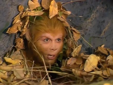 #你真的看懂西游了吗 孙悟空一辈子没说自己师傅是菩提老祖 孙悟空取经成功后 参加王母娘娘蟠桃会 遇见菩提老祖 眼中含泪 未曾相认 在南天门 跪拜送走菩提老祖 被猪八戒看到 猪八戒借着蟠桃会酒劲 去找嫦娥 被拒之门外 猪八戒就把秘密告诉了嫦娥 嫦娥和玉帝有一腿 玉帝也知道了 当年悟空让天兵天将损失惨重 又大闹天宫 玉帝本就不满 召集天庭上 所有 当时被悟空 闹过 的星君 一起对菩提老祖施压打击 菩提老祖被迫辞去仙位 玉帝还是不依不饶 最后菩提老祖废掉自己修为 下入凡间做了普通老头 悟空得知后 要大闹天庭 可被唐僧劝住 奈何取经后的悟空也没有了当年性子 为了菩提老祖 辞去仙位 自废修为 下入凡间 成了一只猴子 去找菩提老祖 我小时候一个牵着猴 耍猴的老头告诉我的 他说他就是菩提老祖 我还花3毛钱买过他72变的口诀