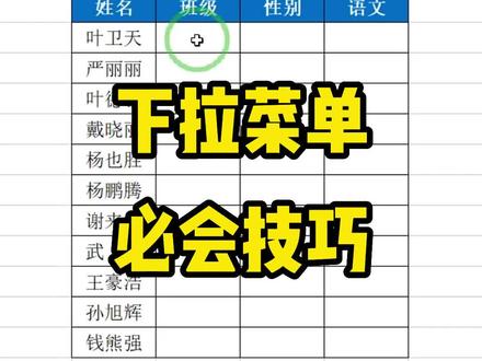 如何制作下拉菜单呢,教你两种办法必会的技巧!#表格技巧 #办公技巧
