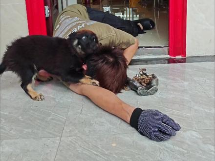 #假装晕倒 测试捡来的#狗狗🐶 的反应。#狗是人类最忠诚的朋友
