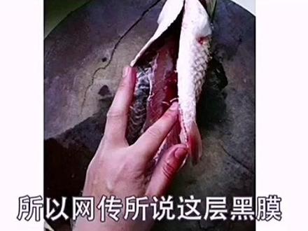 鱼肚子里的黑膜有毒吗#鱼的吃法 #生活小常识