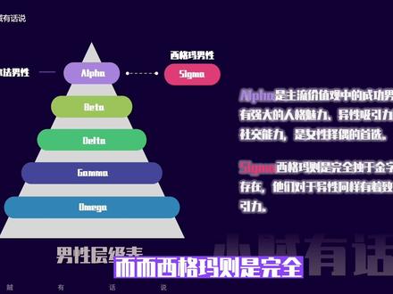 如何成为西格玛男人,拥有致命吸引力
#西格玛男人 #恋爱心理学 #人性情感 #人性智慧 #恋爱技巧