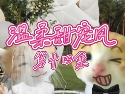 温柔甜宠风·第十四集 #猫meme #猫meme故事 #恋爱 #爱情#爱情
