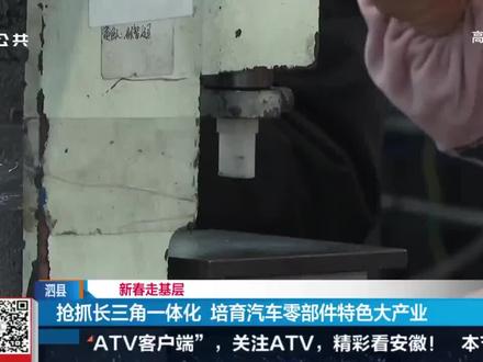 泗县正在培育一个大产业!