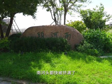 7大停车场
平湖南河头
江浙沪可开车直达的都市后花园
#南河头 #嘉兴平湖 #江南百景图 #下江南 #周边游
