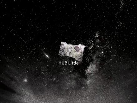 那么好看的沫娘hub只要38元吗 #hublittle #hmhub #hmlab