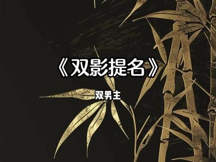 《双影提名》 #小说推荐 #双男主