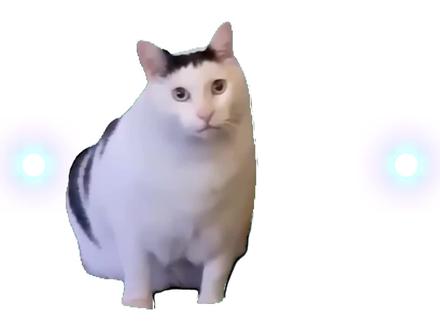 【mbti】INFP型人格的原生家庭是怎么样的? #情感 #mbti人格测试 #infp #心理 #猫meme