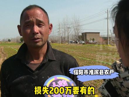 几十位农户种猫爪草 “损失200万”。“买他的猫爪草种子就不出芽 ”。执法大队:假种子!罚款1074万