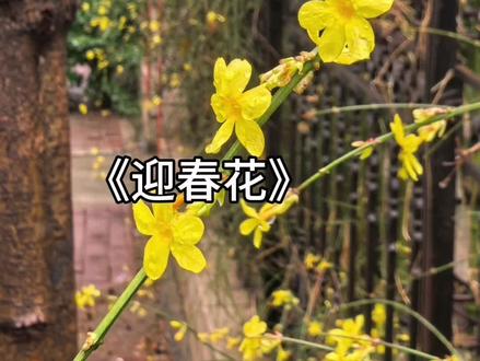 第一单元作文(参考)