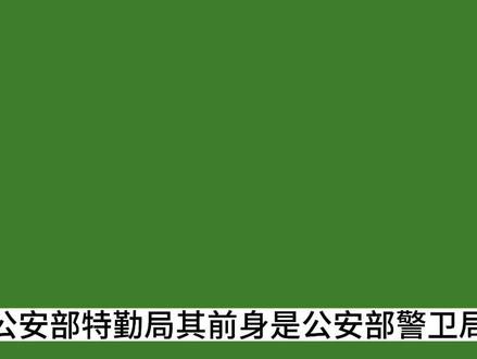 1分钟带你了解我国公安部特勤局