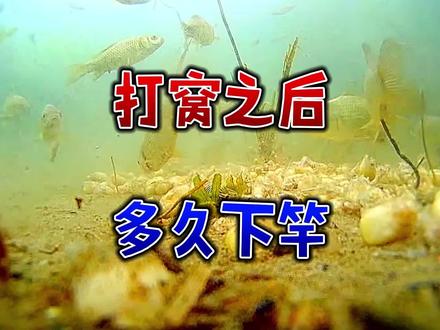 野钓打窝后多久发窝,过早下竿没啥意义,闹杂鱼其实发窝会更快#钓鱼#钓鱼人#钓鱼技巧