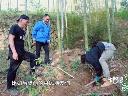 #十个勤天与后陡门58号的故事 这是一个关于十个少年和一块普通农田的故事,也是一个关于怀疑和接纳的故事。在这里,十个年轻人学会了弯腰,学会了触摸泥土。老农人开始谈论“打卡”,学会了许多新词。地还是那块地,但变化正在发生,缓慢而确定。#村里来了个新公司
