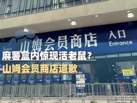 麻薯盒内惊现活老鼠?山姆会员商店道歉:商品是在取货点放置期间,被周边虫害偶然侵入所致@大象新闻管晴 #大象主播说