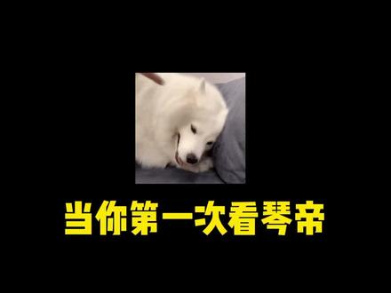 当你第一次看唐家三少的《琴帝》,你可能看不上。但当你看过原版琴帝的结局,绝对让你震撼!#小说 #番茄小说 #唐家三少