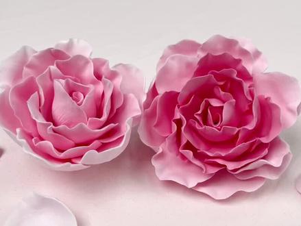 做出漂亮的牡丹花只需要一支笔?#520 #手工diy #粘土花 #手工 #解压 #牡丹花#生活小妙招