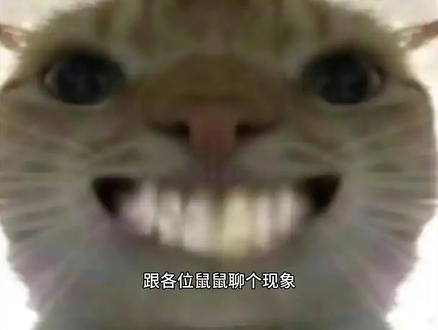 三角洲跑刀接单鼠鼠避坑小攻略 祝各位鼠鼠都能找到自己的板板!!! #三角洲行动 #三角洲行动跑刀攻略 #跑刀