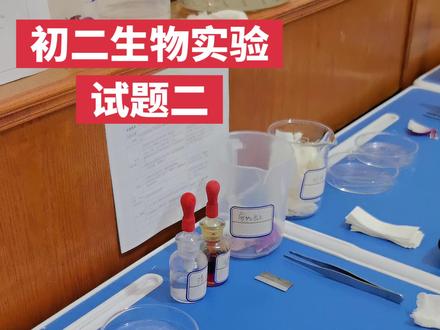 初二生物实验试题二,制作植物细胞临时装片#实验操作流程 #试题二