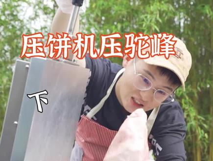 骆驼🐫驼峰到底有多油?(下)还想让我压点啥评论告诉我哦#压饼机