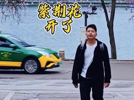 柳州的紫荆花开了,给你们推荐六个适合拍照打卡的地方,看完这个视频,你们就不用辛苦的去找位置了 #打卡推荐 #柳州 #紫荆花 #旅游攻略 #分享