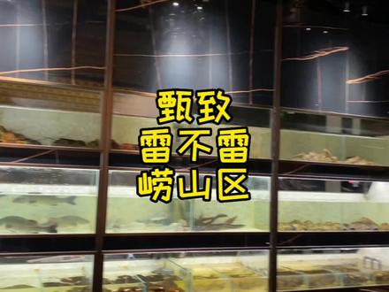 探店帮粉丝探一下甄甄……雷不雷…#青岛美食 #青岛吃喝玩乐 #心动青岛 #青岛探店 #抖音搜索流量来了 地方特色菜推荐……还是不…