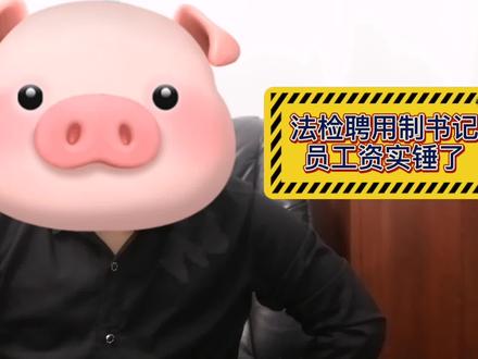 我们这法院、检察院聘用制书记员工资!堪比公务员和事业编了!