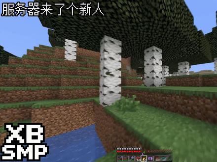 XB SMP服务器 萌新你好 萌新再见